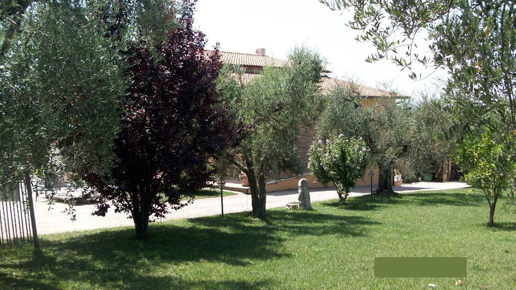 Il Giardino Degli Ulivi Bed & Breakfast Canneto  Exterior photo
