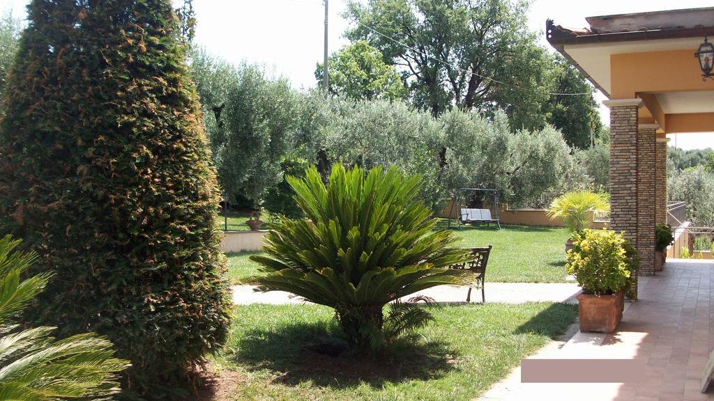 Il Giardino Degli Ulivi Bed & Breakfast Canneto  Exterior photo